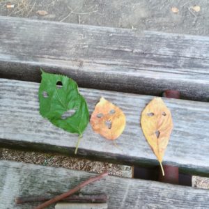 よく読まれた記事