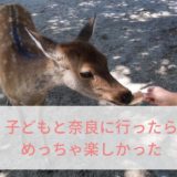 奈良公園のおでかけを子連れで楽しむ４つのポイント